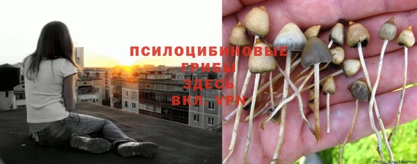 дмт Балахна