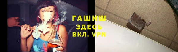 spice Инта